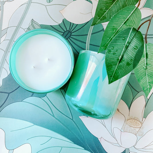 Rain Forest Candle Scents of Amber Sandalwood Greens