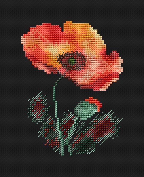 Watercolor Poppy On Black 1 - PDF Cross Stitch Pattern